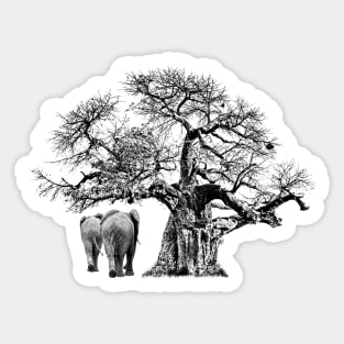 Giant Baobab Tree and Elephant Artwork Sticker